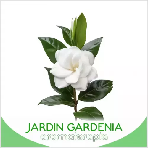 Jardín de gardenias