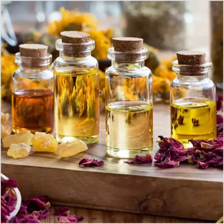 Treachery (concentrado)