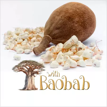 Grog V2 (concentrado)